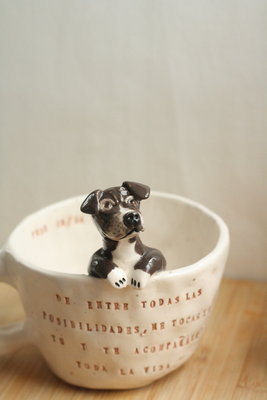 Taza personalizada mascota
