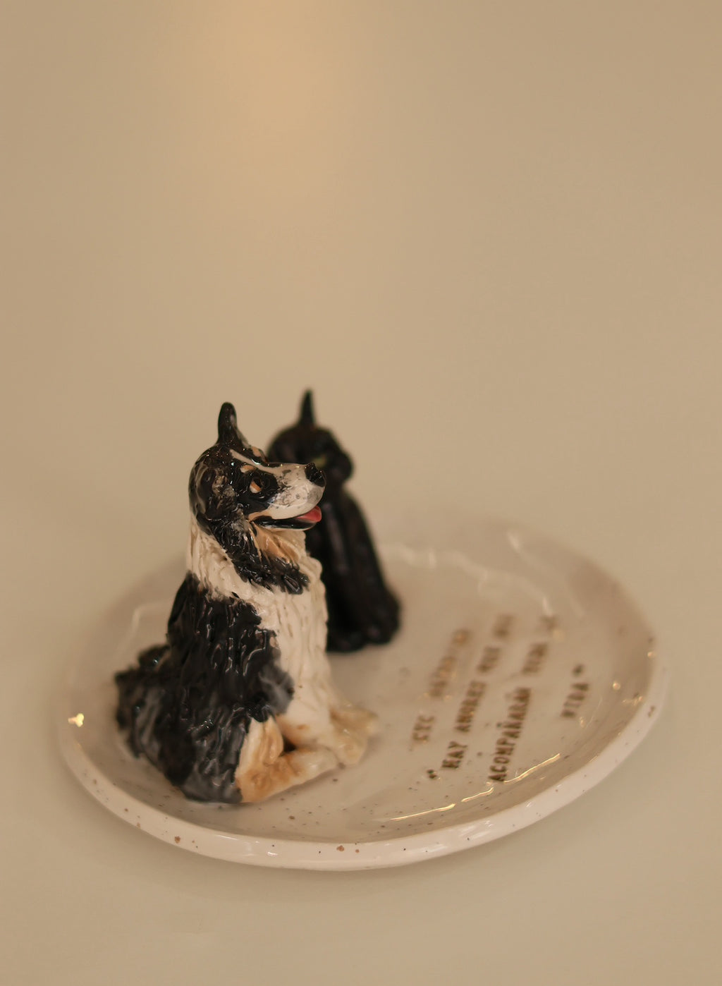 Joyero de cerámica personalizada con tu mascota