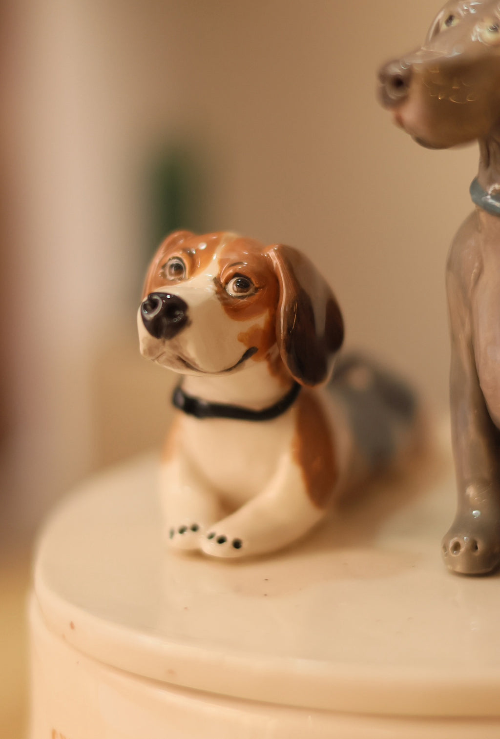 Caja de cerámica personalizada con tu mascota