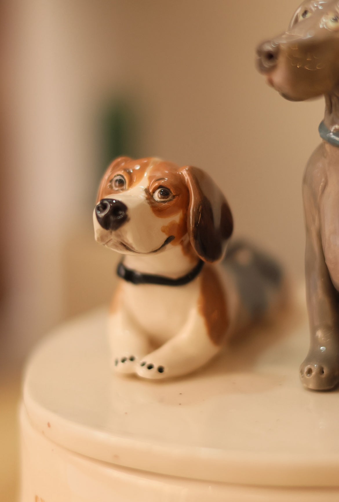 Caja de cerámica personalizada con tu mascota
