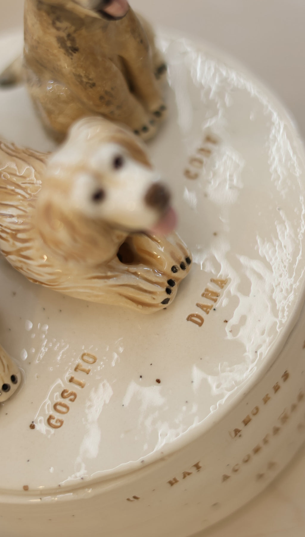 Caja de cerámica personalizada con tu mascota