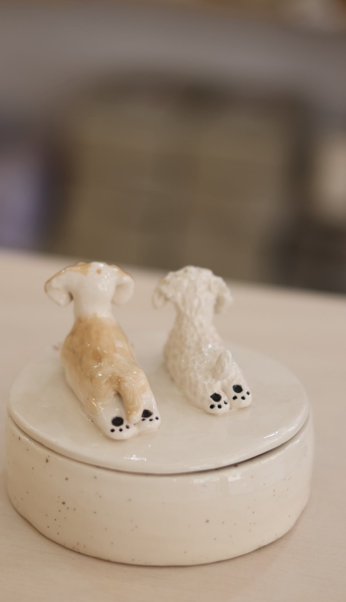 Caja de cerámica personalizada con tu mascota