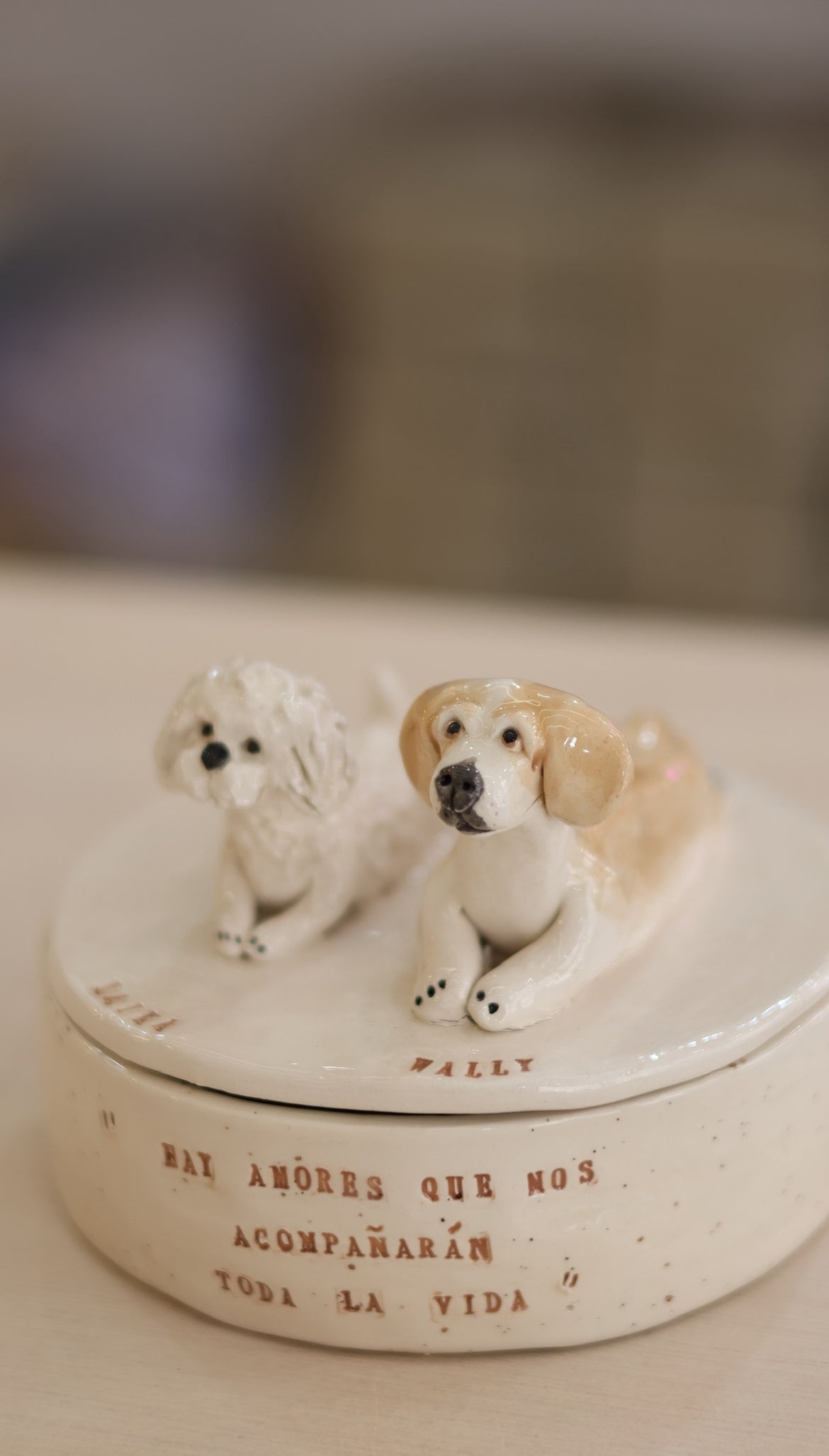 Caja de cerámica personalizada con tu mascota