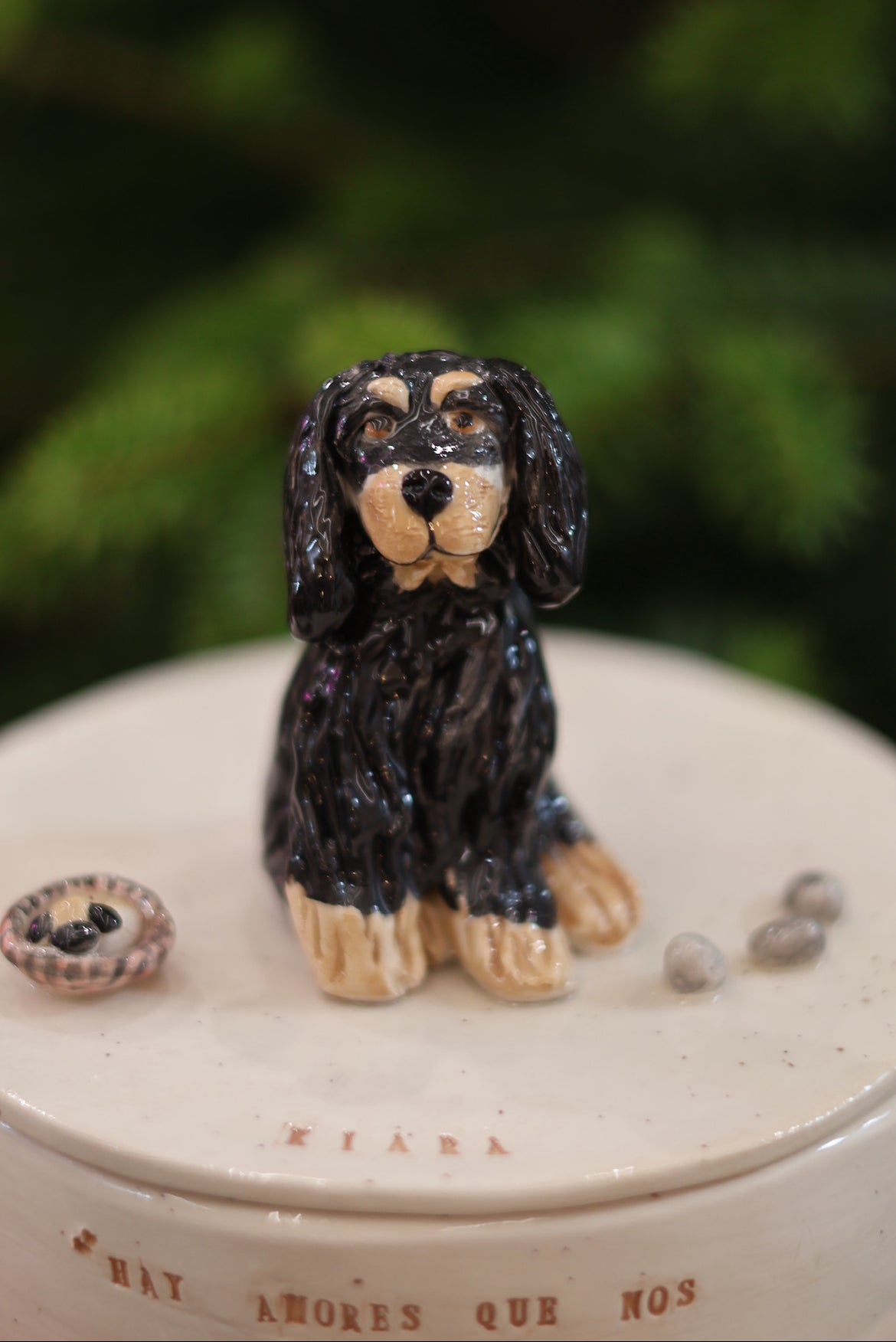 Caja de cerámica personalizada con tu mascota