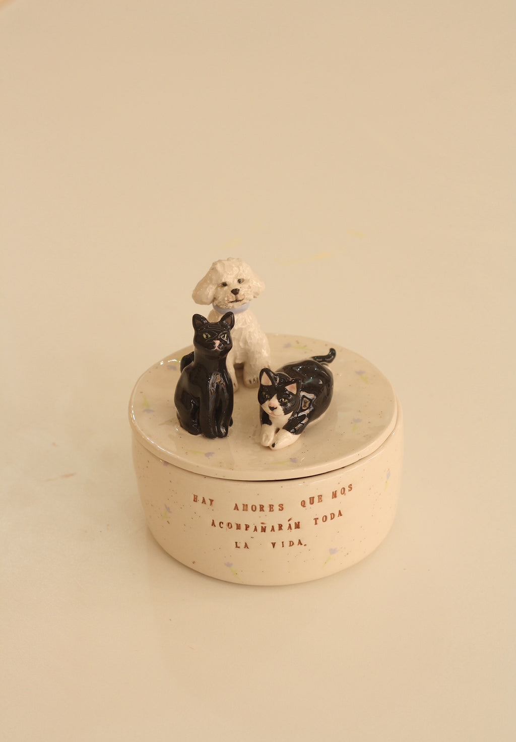 Caja de cerámica personalizada con tu mascota