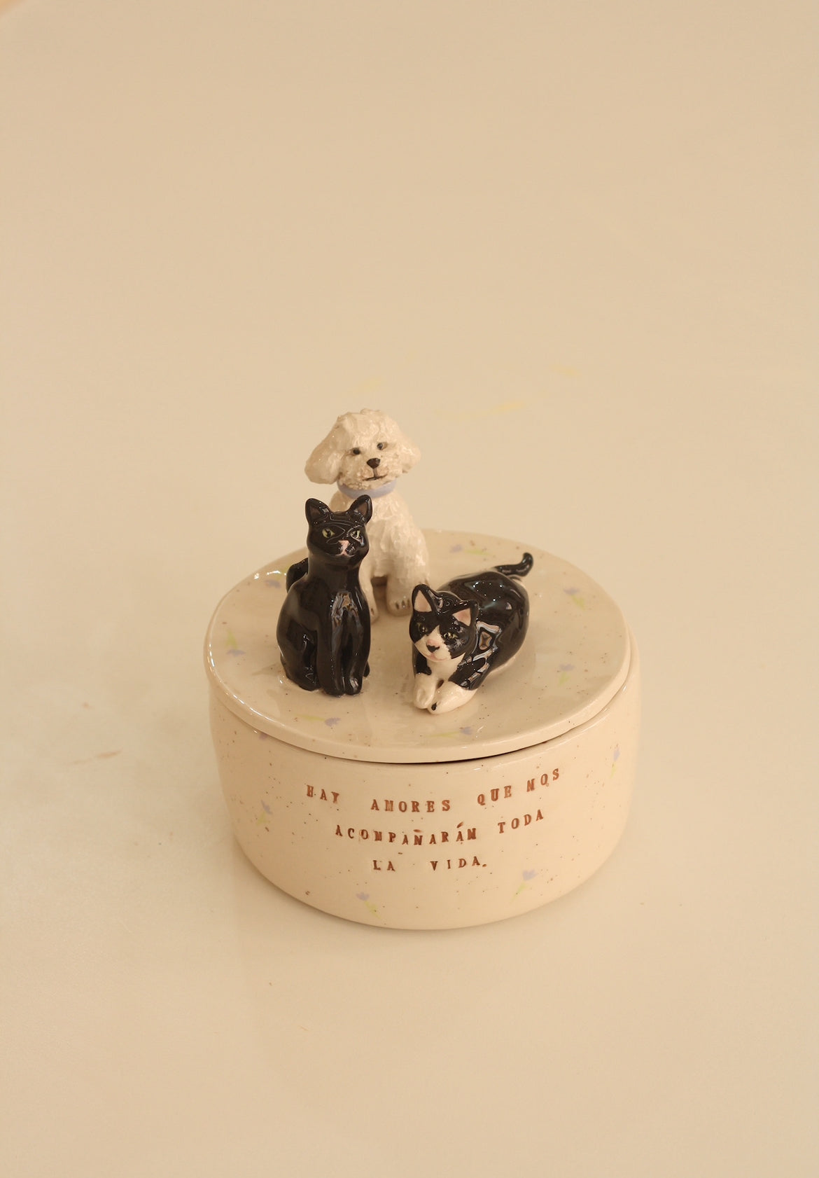 Caja de cerámica personalizada con tu mascota